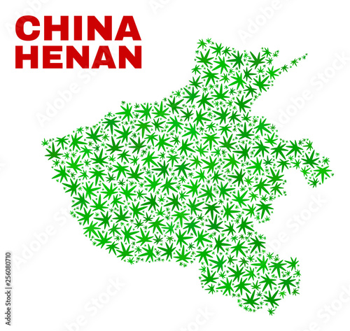 Vector cannabis Henan Province map mosaic. Template with green weed leaves for weed legalize campaign. Vector Henan Province map is composed with ganja leaves.