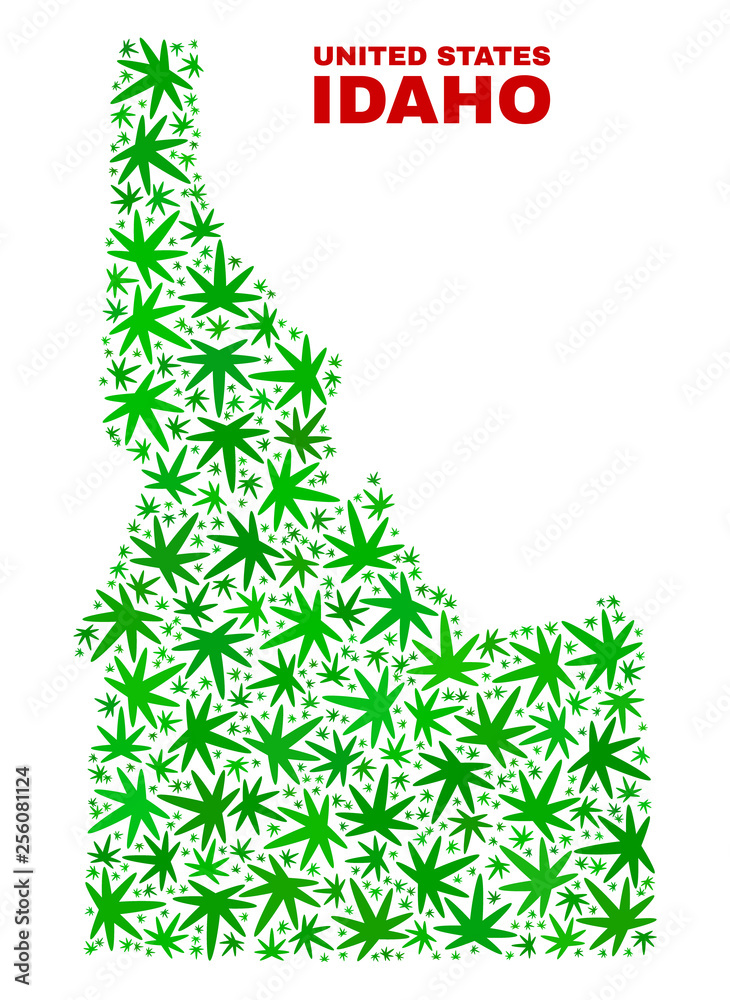 Vector marijuana Idaho State map mosaic. Template with green weed leaves for marijuana legalize campaign. Vector Idaho State map is formed from weed leaves.