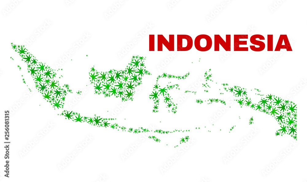 Vector cannabis Indonesia map collage. Concept with green weed leaves