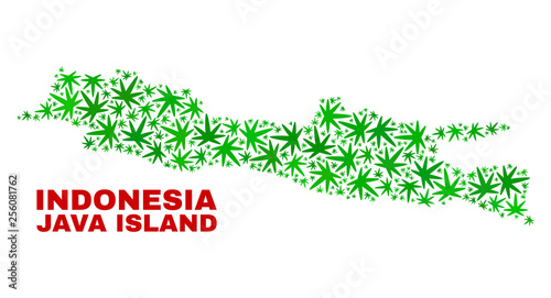 Vector marijuana Java Island map mosaic. Template with green weed leaves for weed legalize campaign. Vector Java Island map is created with weed leaves.