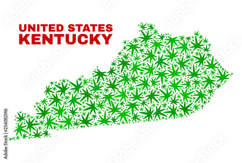 Vector marijuana Kentucky State map collage. Concept with green weed leaves for marijuana legalize campaign. Vector Kentucky State map is constructed with weed leaves.