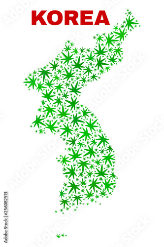 Vector marijuana Korea map collage. Concept with green weed leaves for weed legalize campaign. Vector Korea map is designed from weed leaves.
