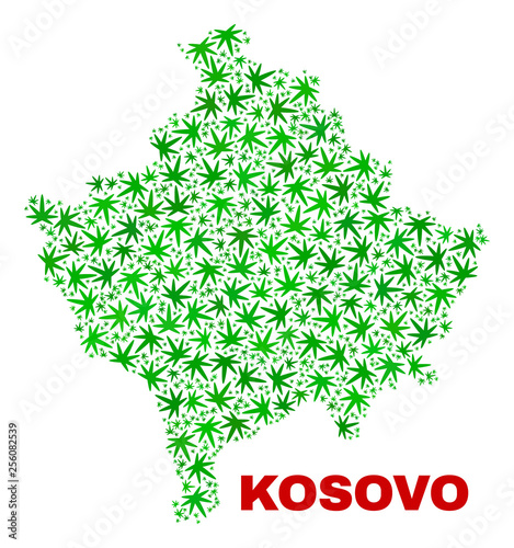 Vector cannabis Kosovo map mosaic. Concept with green weed leaves for cannabis legalize campaign. Vector Kosovo map is organized with cannabis leaves.