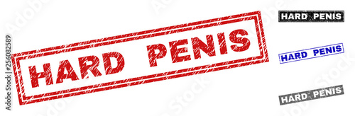 Grunge HARD PENIS rectangle stamp seals isolated on a white background. Rectangular seals with distress texture in red, blue, black and grey colors.