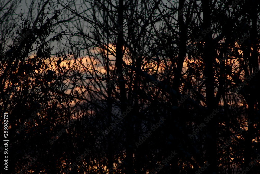 winter sonnen wände winter sonnen wände
