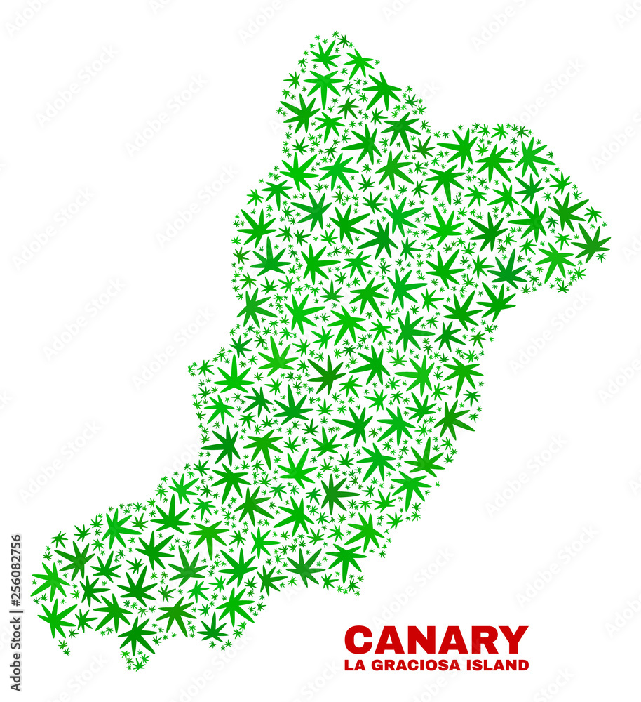 Vector marijuana La Graciosa Island map mosaic. Template with green weed leaves for marijuana legalize campaign. Vector La Graciosa Island map is constructed with marijuana leaves. Vector marijuana La Graciosa Island map mosaic. Template with green weed leaves for marijuana legalize campaign. Vector La Graciosa Island map is constructed with marijuana leaves.