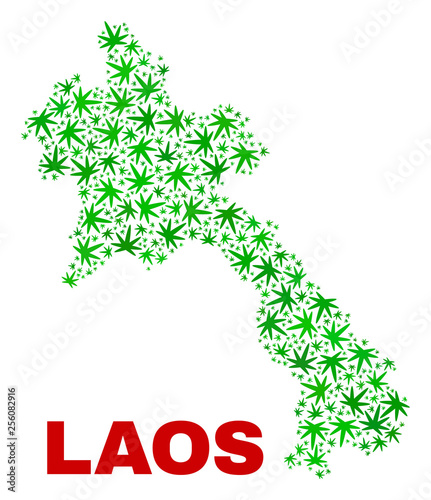Vector cannabis Laos map collage. Concept with green weed leaves for weed legalize campaign. Vector Laos map is composed with cannabis leaves.