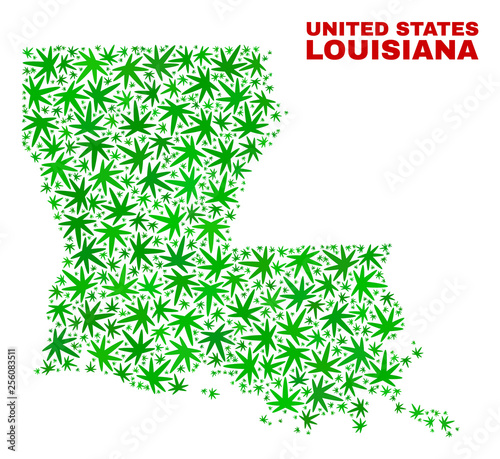 Vector marijuana Louisiana State map mosaic. Template with green weed leaves for marijuana legalize campaign. Vector Louisiana State map is constructed with marijuana leaves.