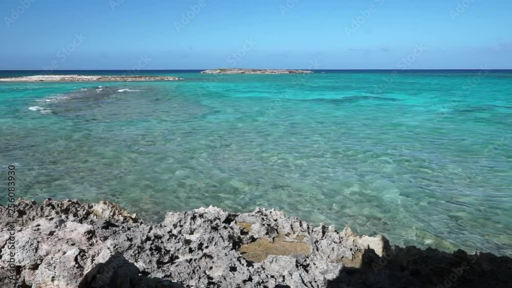 A Caribbean coral foreground at the waters edge showing the crystal clear turquoise water in the Bahamas A Caribbean coral foreground at the waters edge showing the crystal clear turquoise water in the Bahamas