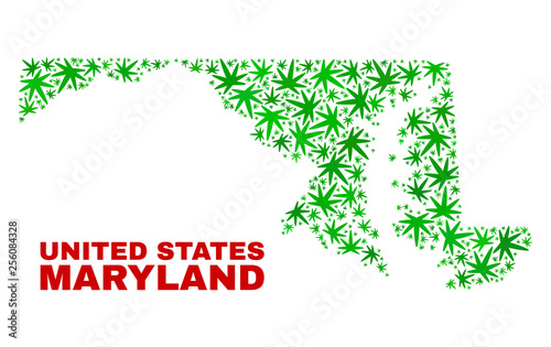 Vector marijuana Maryland State map mosaic. Concept with green weed leaves for weed legalize campaign. Vector Maryland State map is composed with weed leaves.
