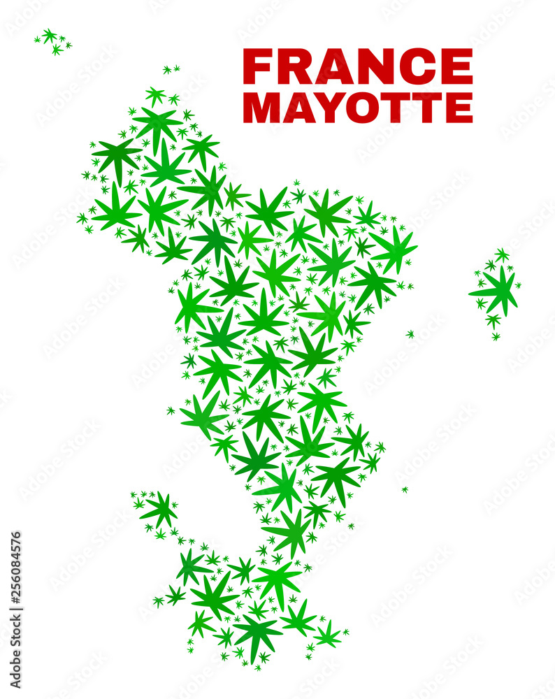 Vector cannabis Mayotte Islands map mosaic. Concept with green weed leaves for weed legalize campaign. Vector Mayotte Islands map is formed of weed leaves. Vector cannabis Mayotte Islands map mosaic. Concept with green weed leaves for weed legalize campaign. Vector Mayotte Islands map is formed of weed leaves.