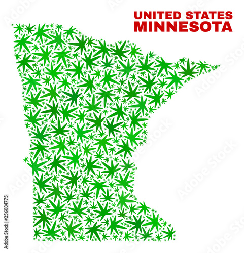 Vector marijuana Minnesota State map collage. Concept with green weed leaves for marijuana legalize campaign. Vector Minnesota State map is formed with marijuana leaves.