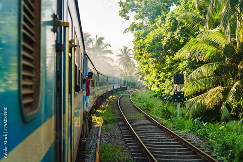 Ella to Kandy among tea plantations in highlands of Sri Lank