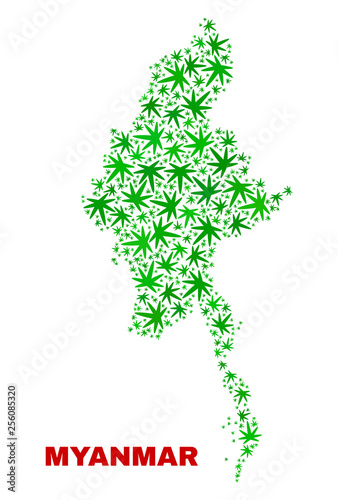 Vector cannabis Myanmar map mosaic. Template with green weed leaves for cannabis legalize campaign. Vector Myanmar map is created with cannabis leaves.