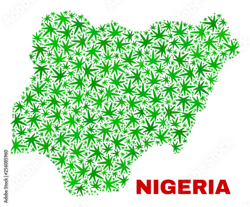 Vector cannabis Nigeria map collage. Concept with green weed leaves for weed legalize campaign. Vector Nigeria map is composed with weed leaves.