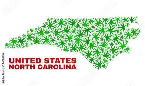 Vector cannabis North Carolina State map mosaic. Template with green weed leaves for weed legalize campaign. Vector North Carolina State map is designed with herbal leaves.