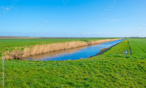 Canal through a meadow in sunlight below a blue sky in winter