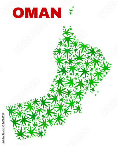 Vector cannabis Oman map mosaic. Template with green weed leaves for weed legalize campaign. Vector Oman map is constructed with weed leaves.