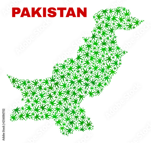 Vector marijuana Pakistan map mosaic. Template with green weed leaves for marijuana legalize campaign. Vector Pakistan map is composed from marijuana leaves.