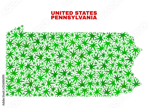 Vector cannabis Pennsylvania State map mosaic. Concept with green weed leaves for weed legalize campaign. Vector Pennsylvania State map is designed with weed leaves.
