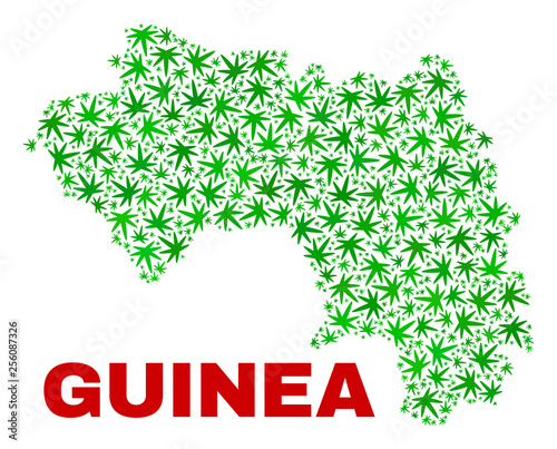 Vector marijuana Republic of Guinea map mosaic. Template with green weed leaves for weed legalize campaign. Vector Republic of Guinea map is composed with weed leaves.