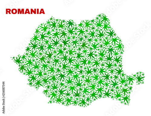 Vector cannabis Romania map collage. Concept with green weed leaves for cannabis legalize campaign. Vector Romania map is designed of weed leaves.