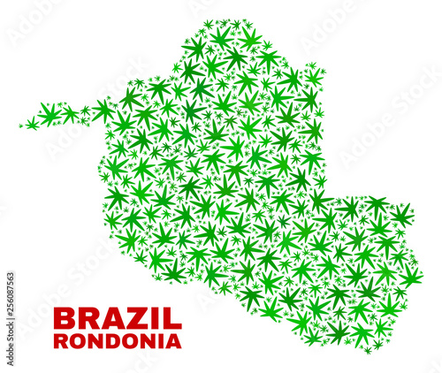 Vector cannabis Rondonia State map mosaic. Concept with green weed leaves for cannabis legalize campaign. Vector Rondonia State map is designed with ganja leaves.