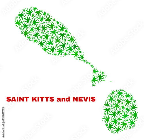 Vector cannabis Saint Kitts and Nevis map mosaic. Concept with green weed leaves for cannabis legalize campaign. Vector Saint Kitts and Nevis map is constructed with marijuana leaves.