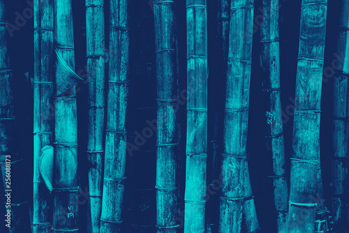 bamboo forest pattern background green old thick not even duotone