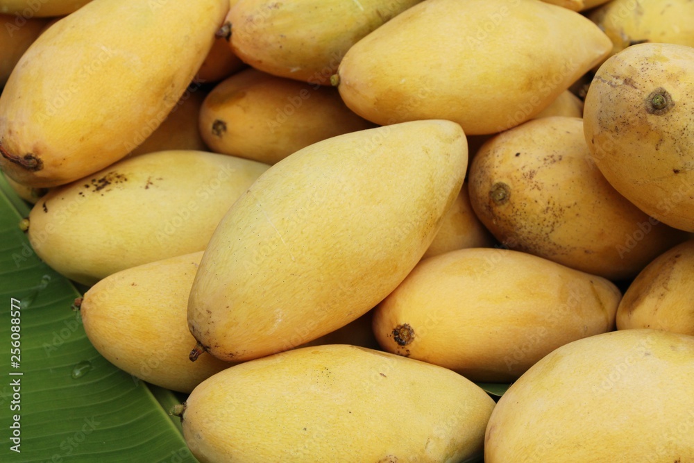Ripe mango fruit delicious at street food Ripe mango fruit delicious at street food
