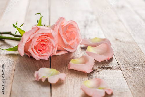 close-up of beautiful pink roses on wooden table