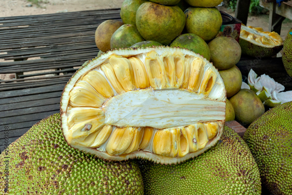 Cross section of Jack fruit