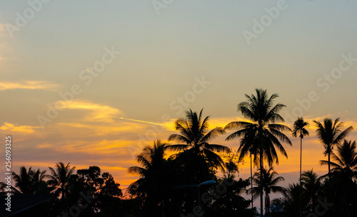 tropical sunset