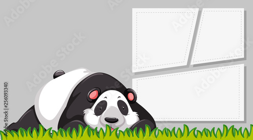 A panda on blank banner © blueringmedia
