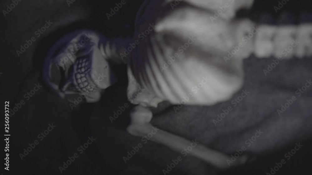 Skeleton Strobe for Halloween Skeleton Strobe for Halloween