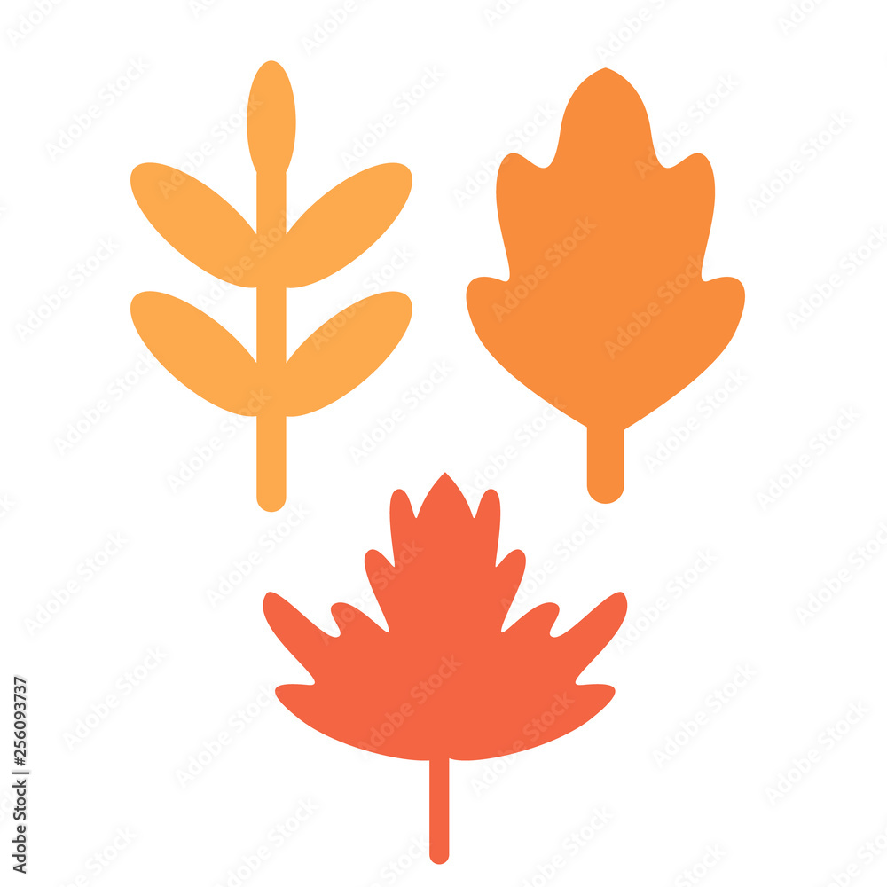 Obraz premium Autumn leaves flat illustration