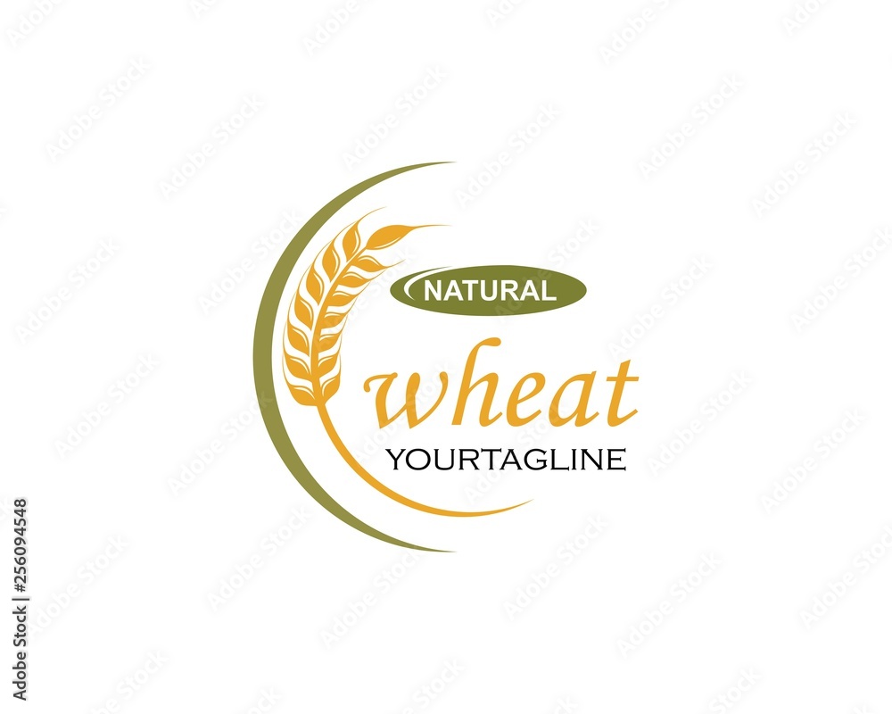Agriculture wheat Logo Template vector icon Agriculture wheat Logo Template vector icon