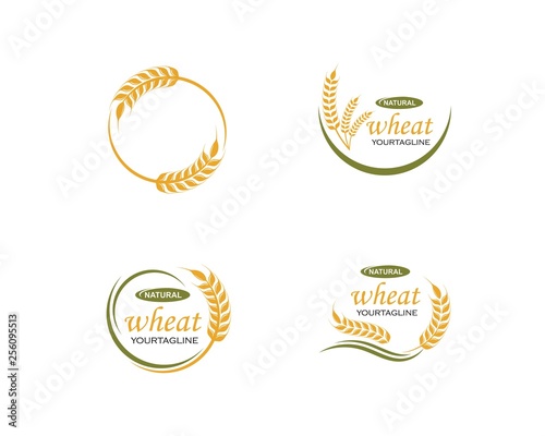 Agriculture wheat Logo Template vector icon