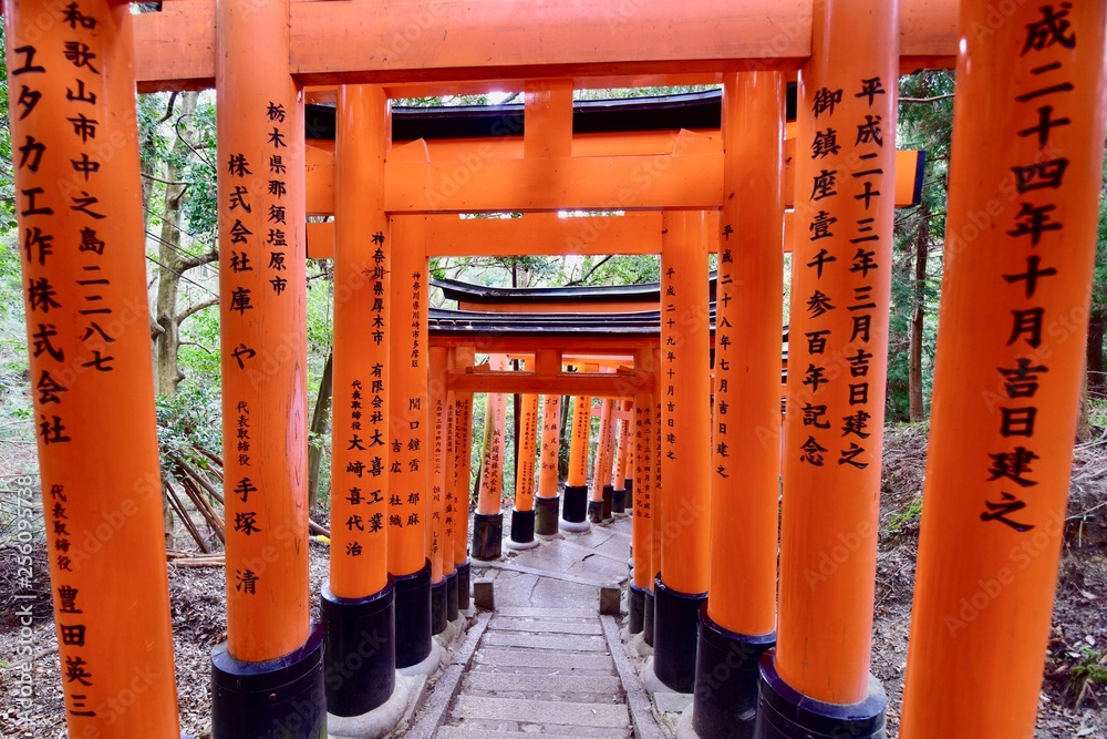 日本の京都の伏見稲荷大社の鳥居 Stock Photo Adobe Stock 日本の京都の伏見稲荷大社の鳥居 Stock Photo Adobe Stock