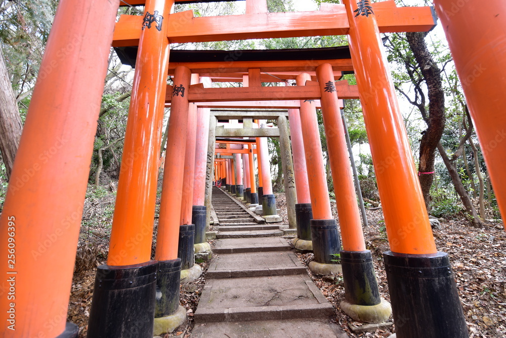 日本の京都の伏見稲荷大社の鳥居 日本の京都の伏見稲荷大社の鳥居