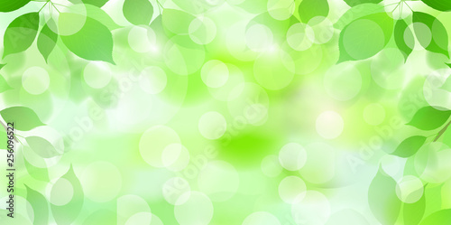 新緑　葉　緑　背景 