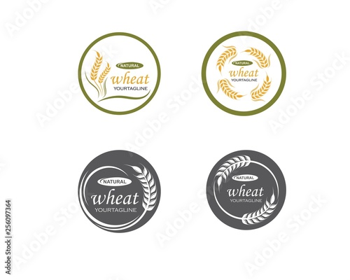 Agriculture wheat Logo Template vector icon
