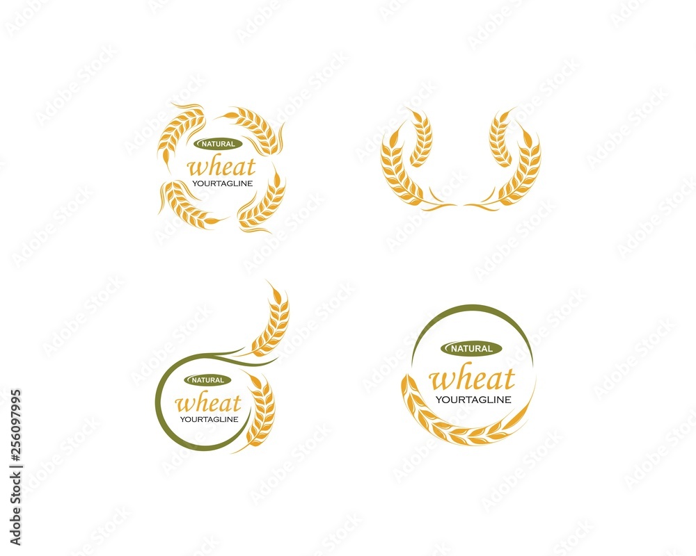 Agriculture wheat Logo Template vector icon