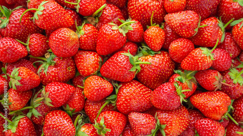 Fresh organic Strawberry fruit background Top view closeup