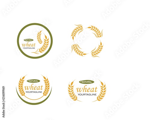 Agriculture wheat Logo Template vector icon