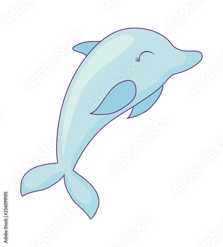 cute dolphin isolated icon
