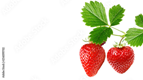 red fresh tasty strawberry