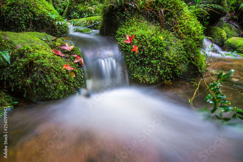 Small waterfall with red maple leaf and green moss on stone stream water photo