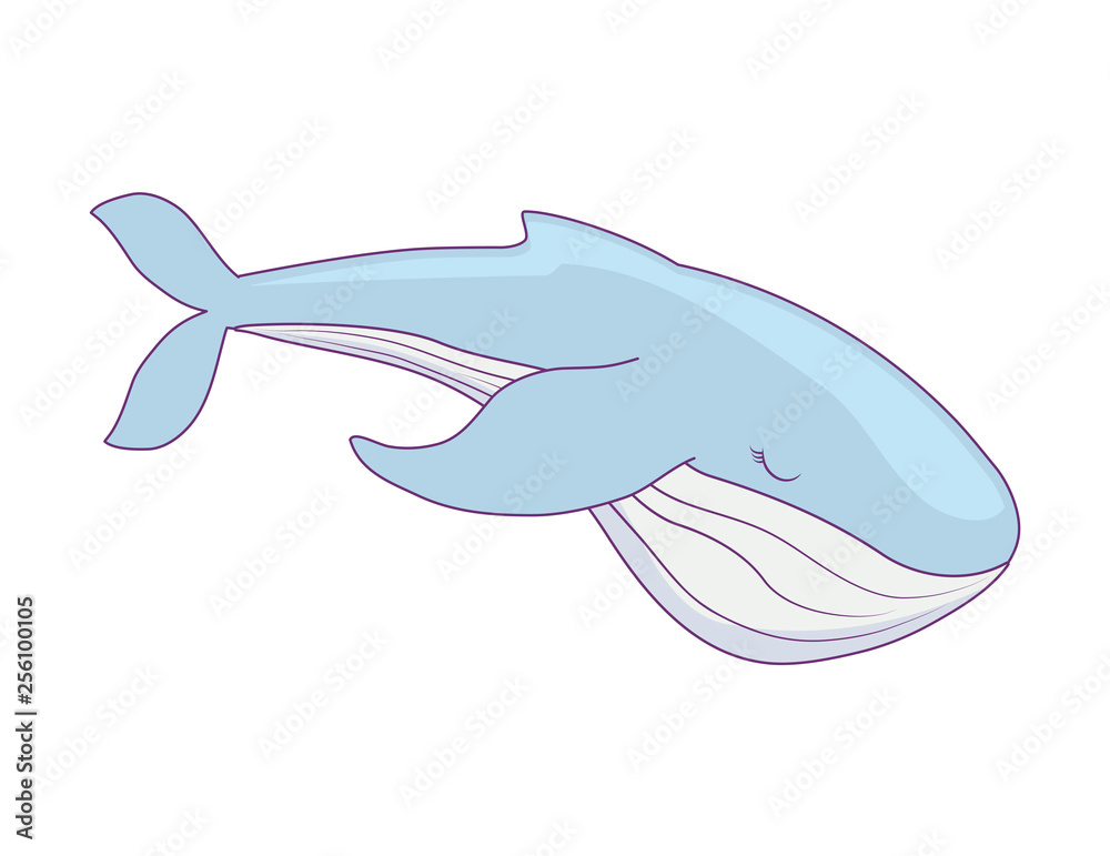 cute whale isolated icon