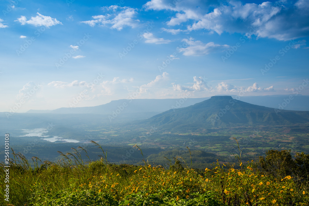 Fototapeta premium Beautiful landscape mountain Thailand / phupapoh - phu pa poh , Loei or Fuji of Thailand